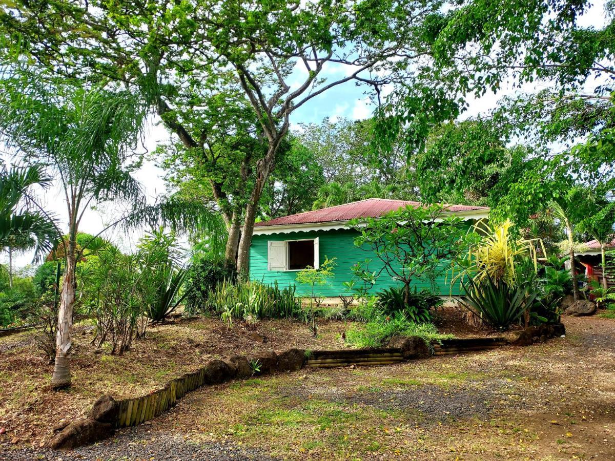 Bungalow Du Jardin Botanique De Deshaies Dış mekan fotoğraf