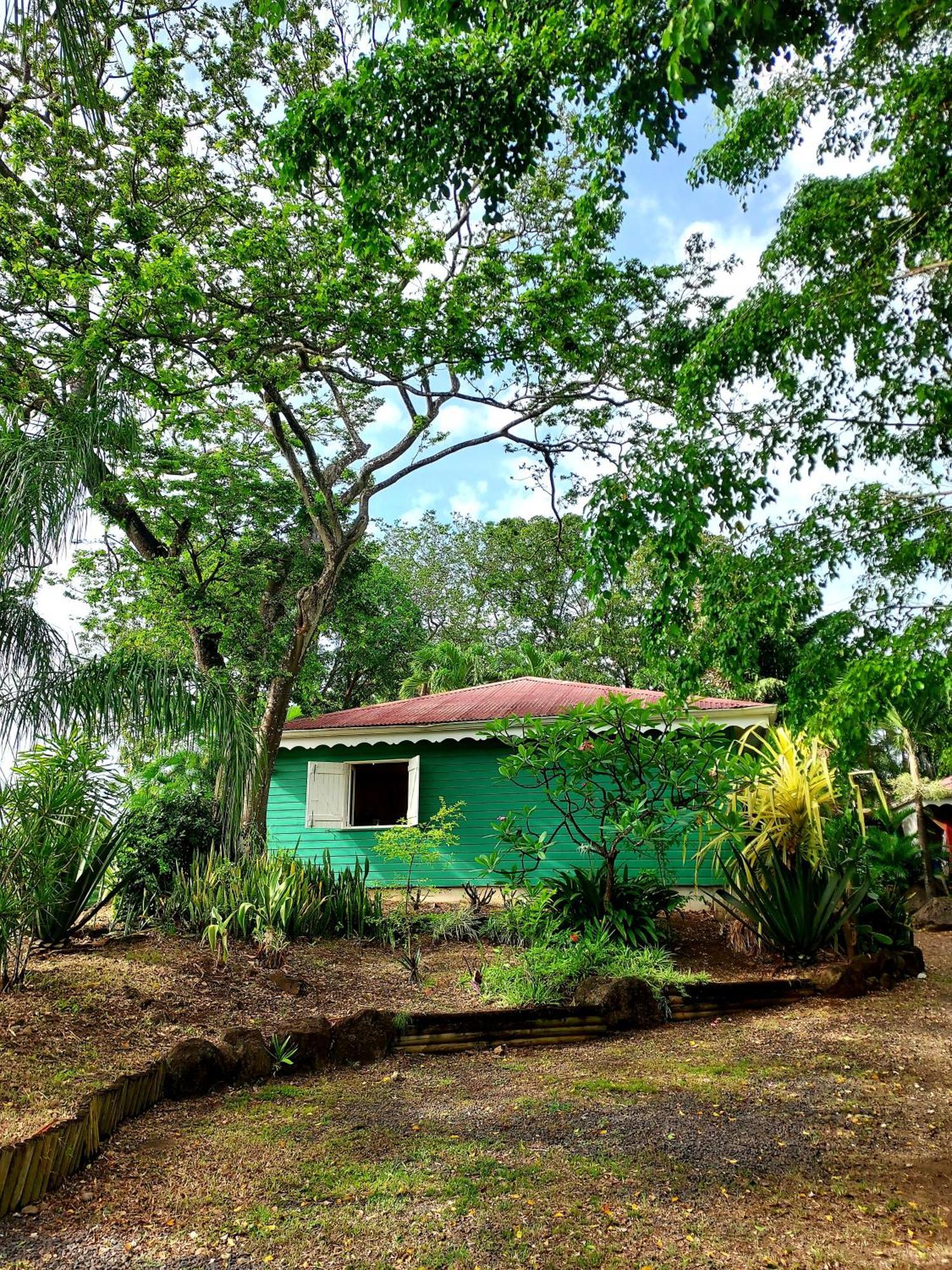 Bungalow Du Jardin Botanique De Deshaies Oda fotoğraf